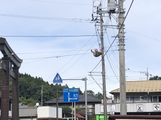 ̧IH